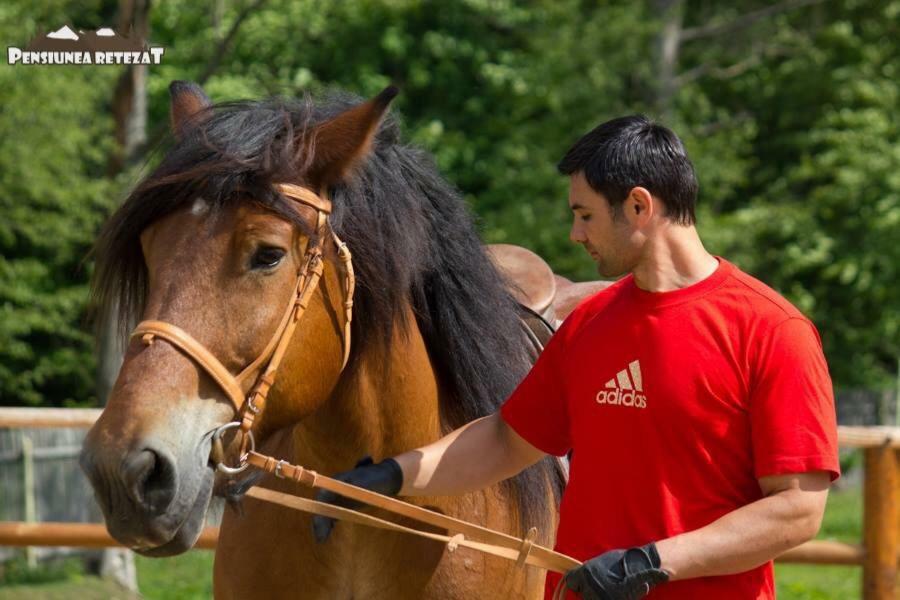 Pensiunea Retezat Campu Lui Neag Uricani  Экстерьер фото